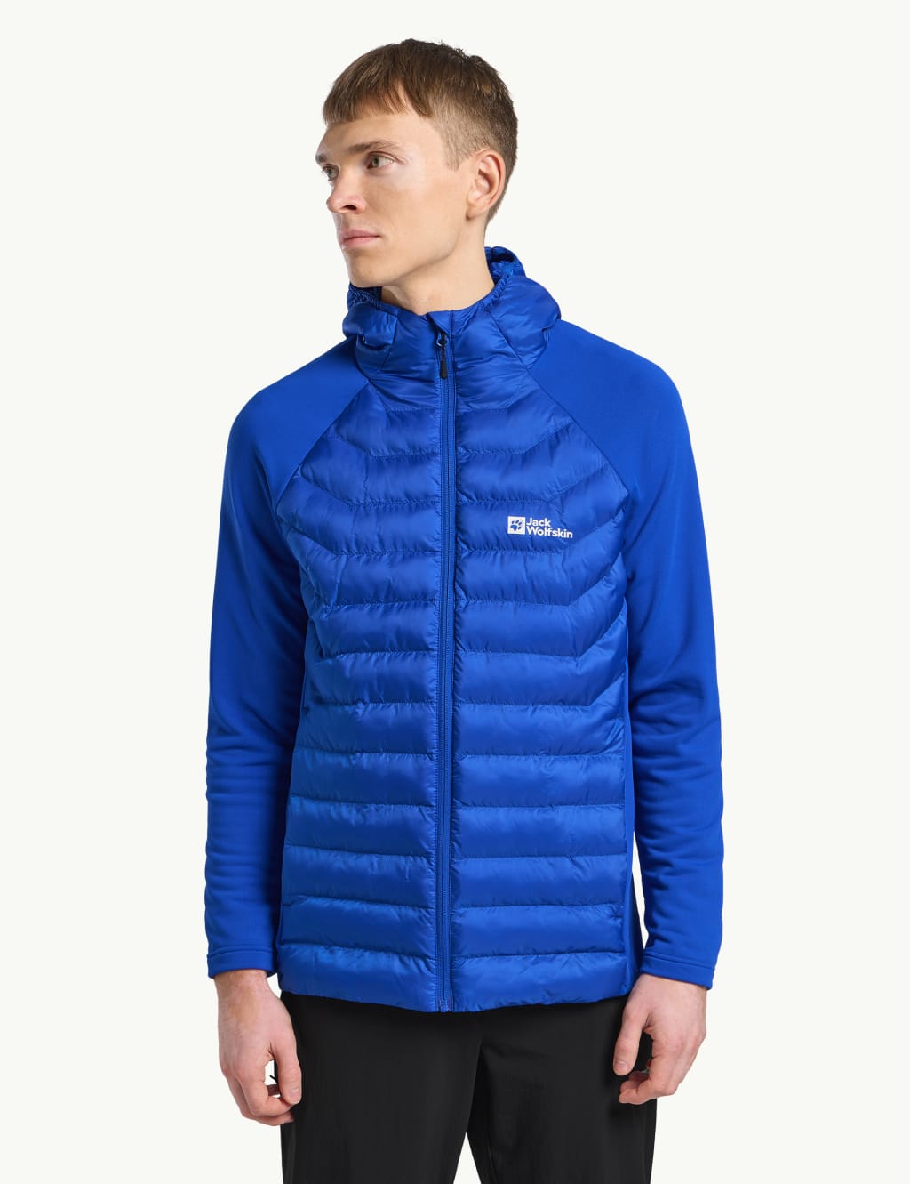 Jack Wolfskin Male Routeburn Pro Hybrid Hooded Puffer Jacket - L - Blue, Blue