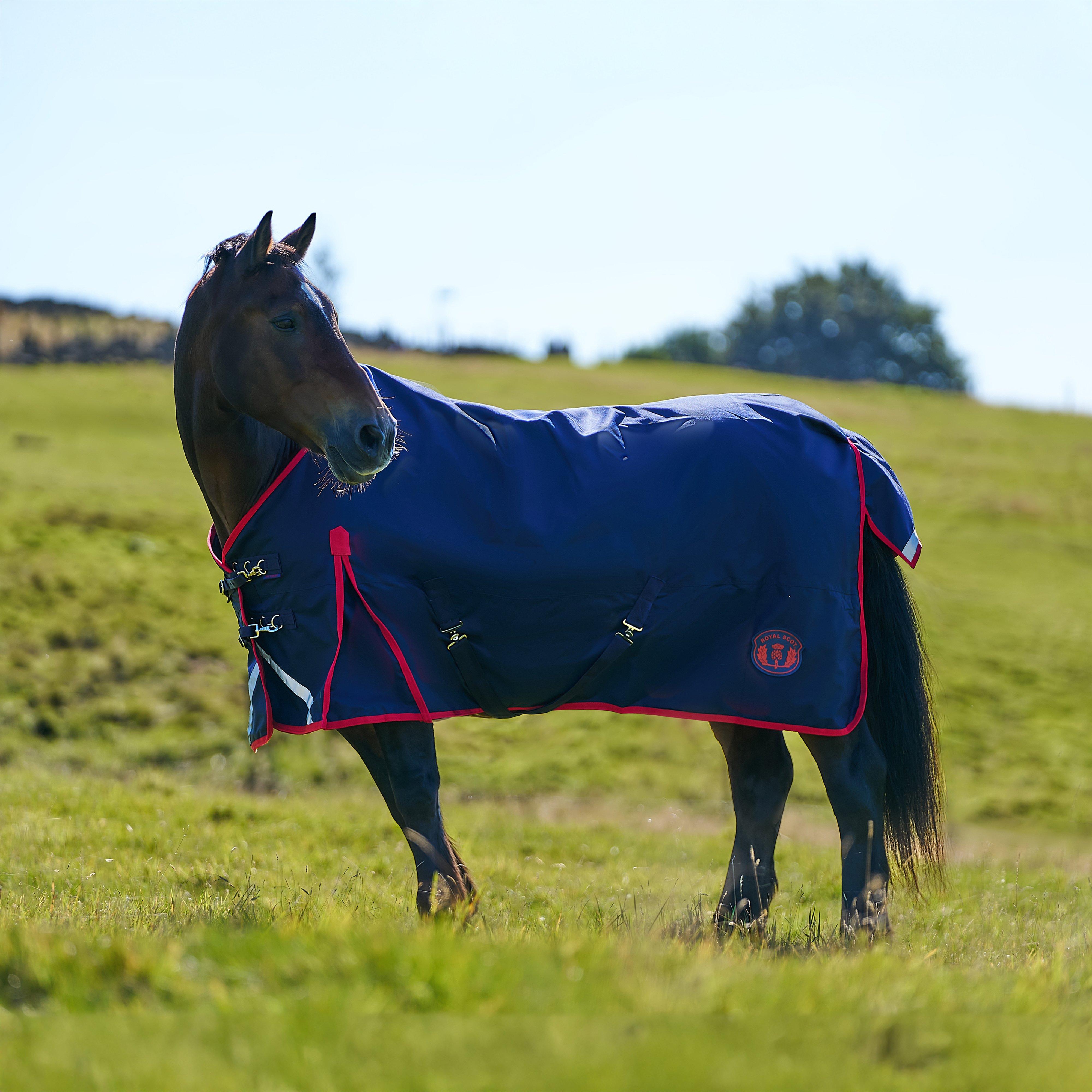 Royal Scot Original 50G Lightweight Standard Neck Turnout Rug Navy/Red - Nvyred, NVYRED