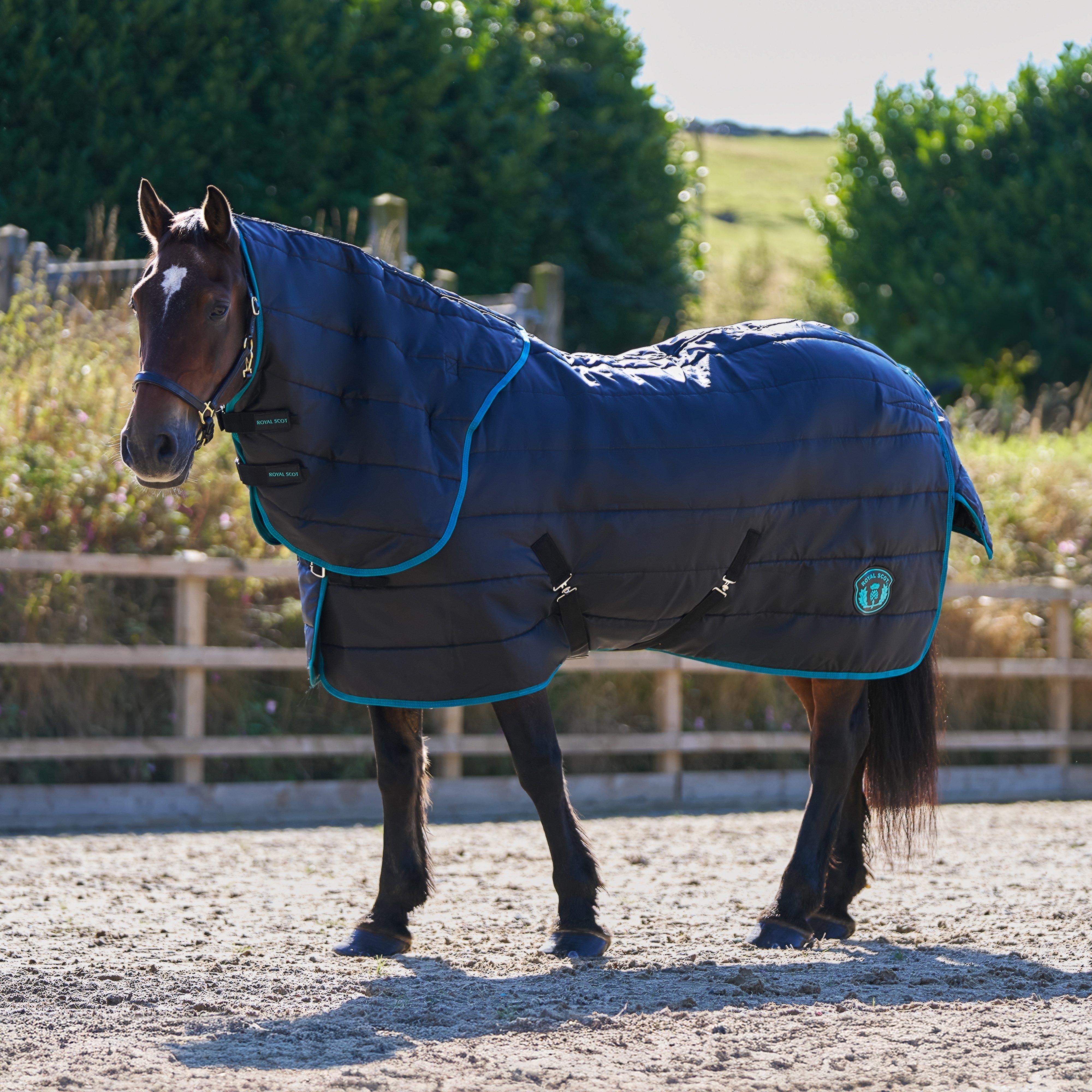 Royal Scot Original 250G Medium Detach-A-Neck Stable Rug Black/Ocean - Blkoc, BLKOC