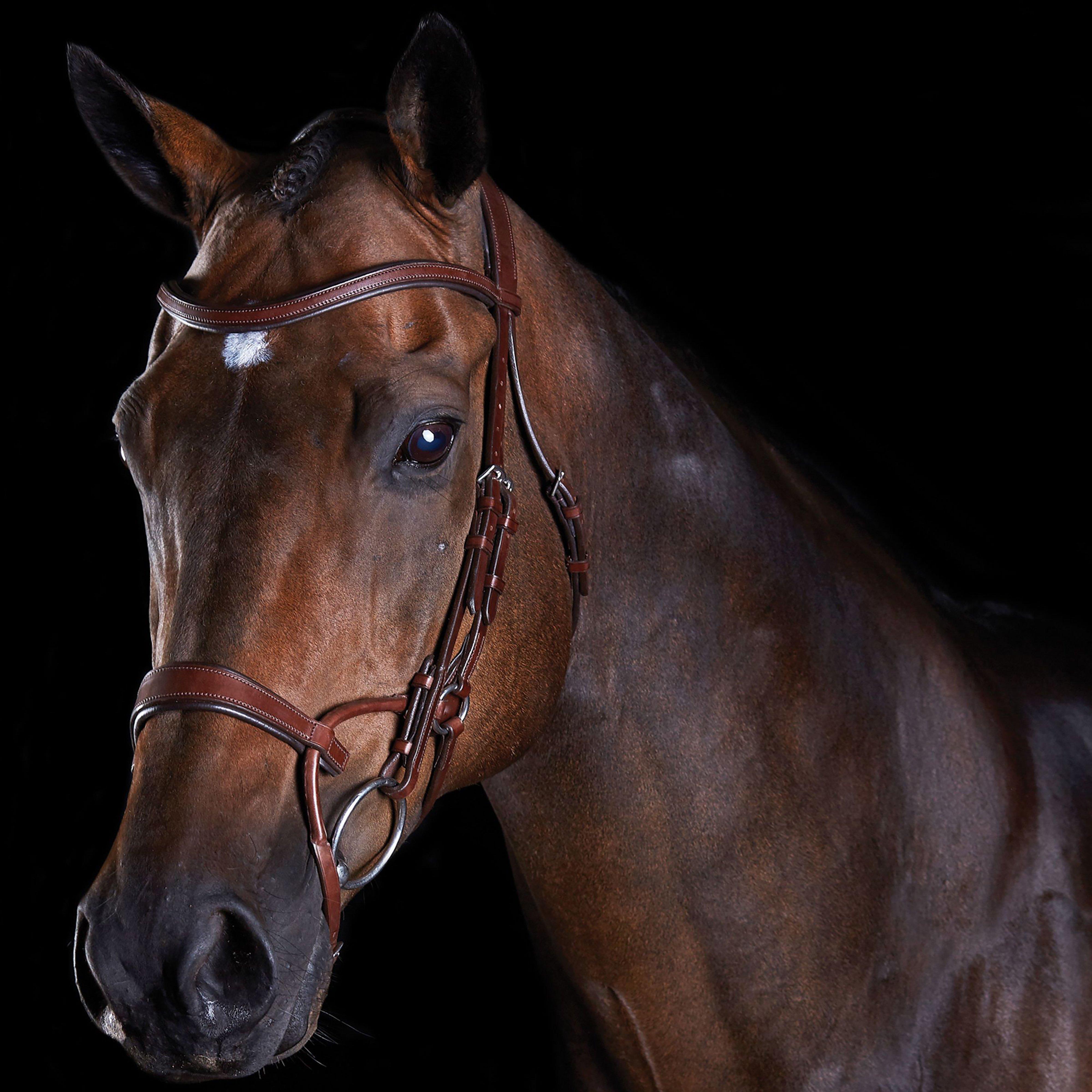 Collegiate ComFiTec Training Bridle, Brown