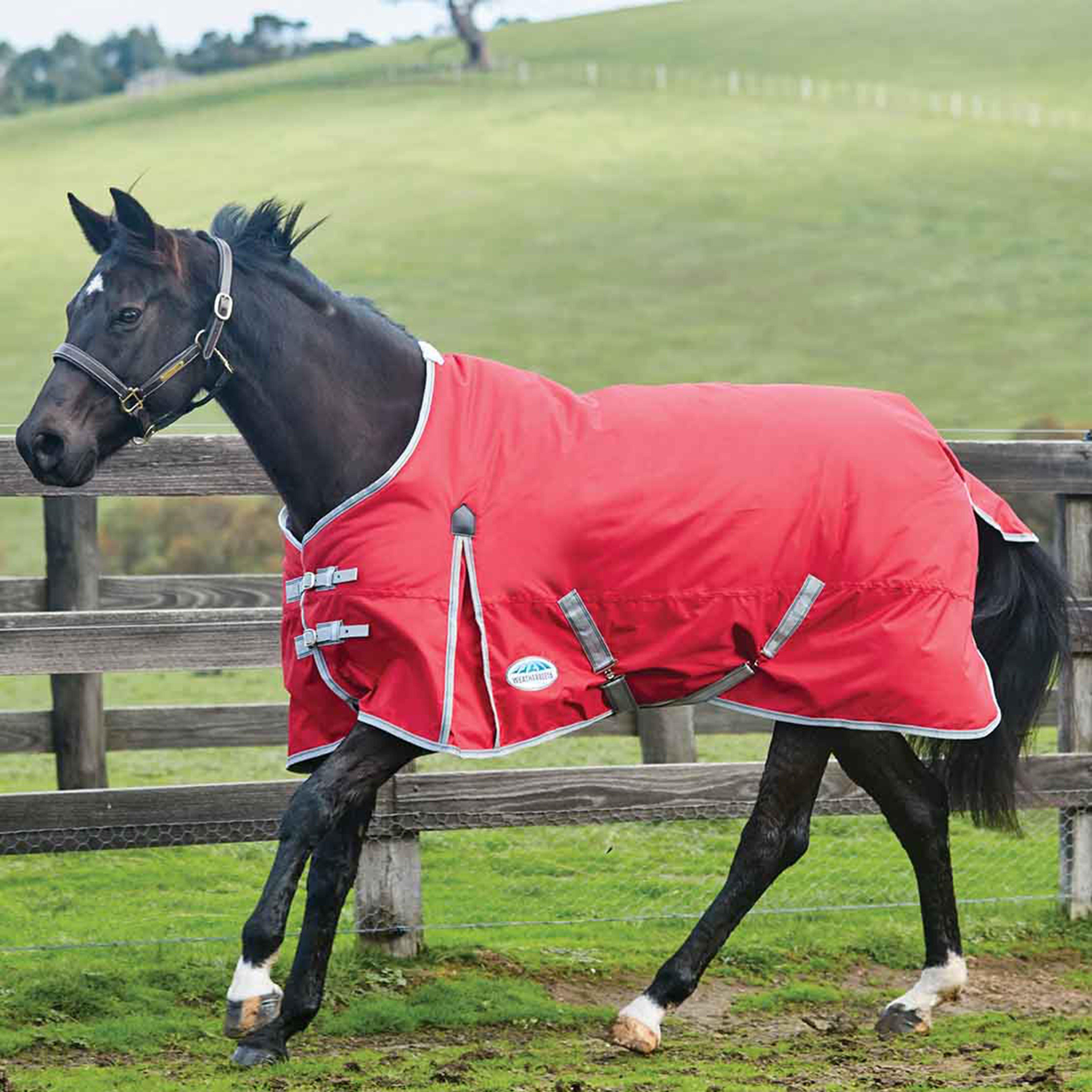 WeatherBeeta ComFiTec Classic 0g Lightweight Standard Neck Turnout Rug, Red