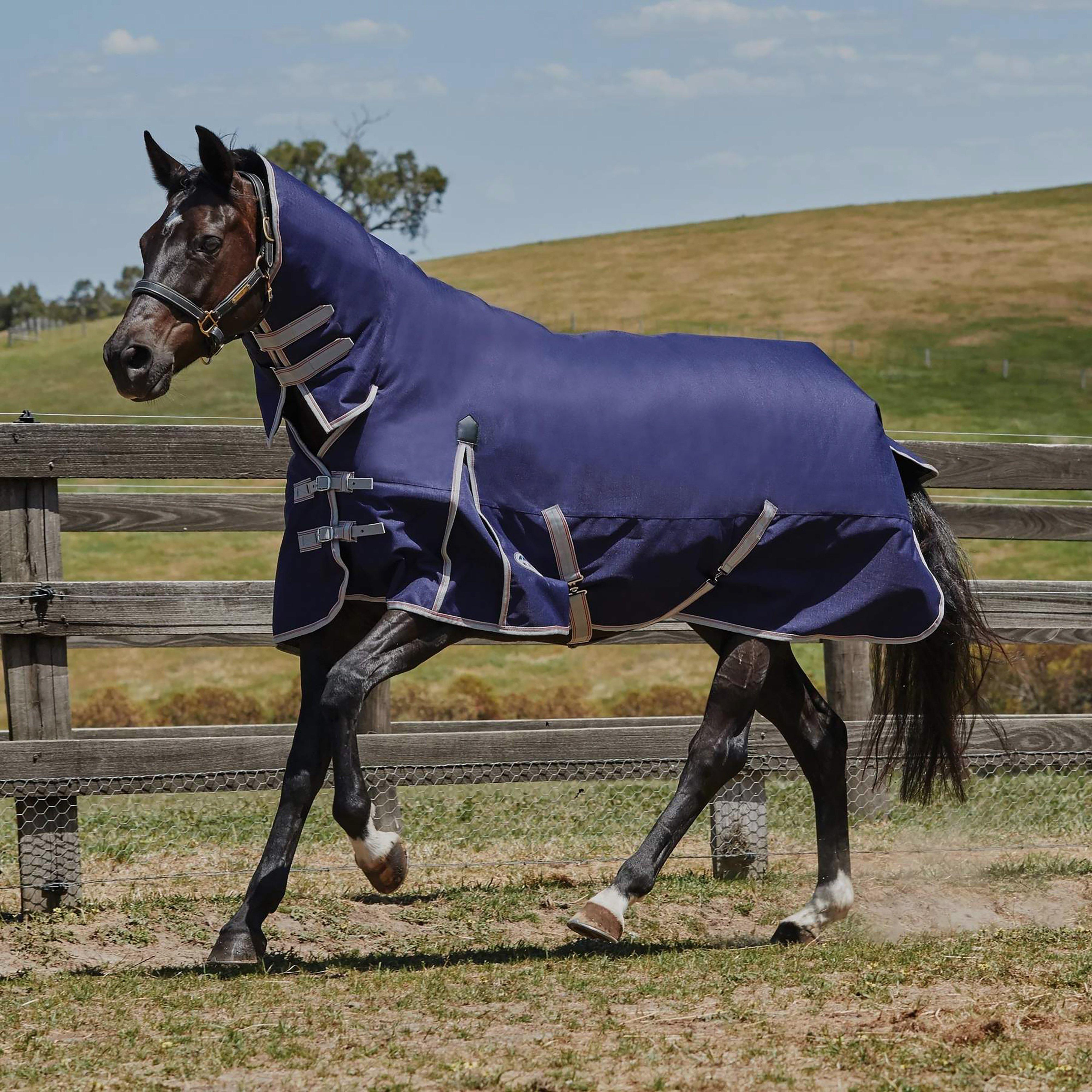 WeatherBeeta ComFiTec Essential Combo Neck Lite Plus 50g Turnout Rug, Navy