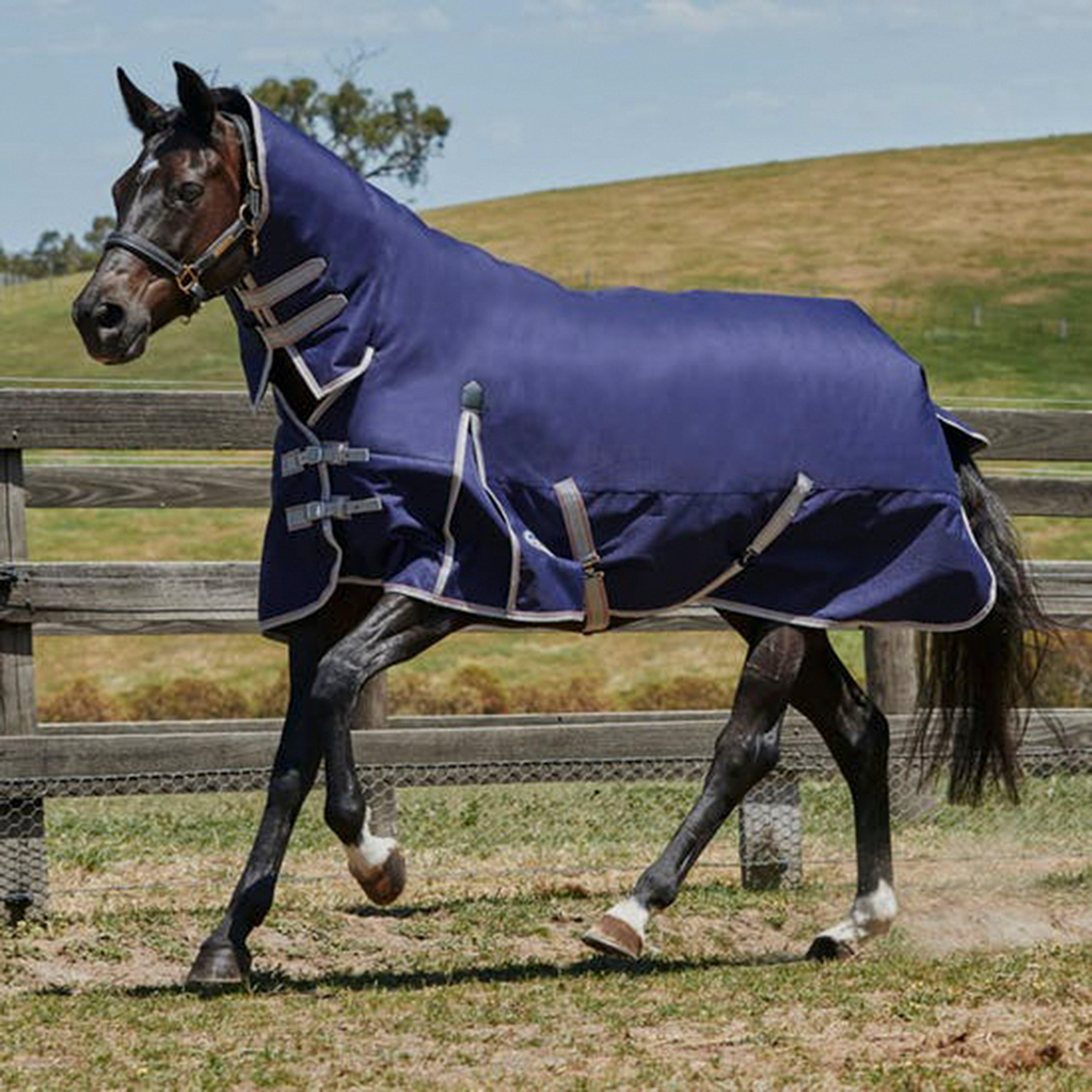 WeatherBeeta ComFiTec Essential 220g Medium Weight Combo Neck Turnout Rug, Navy