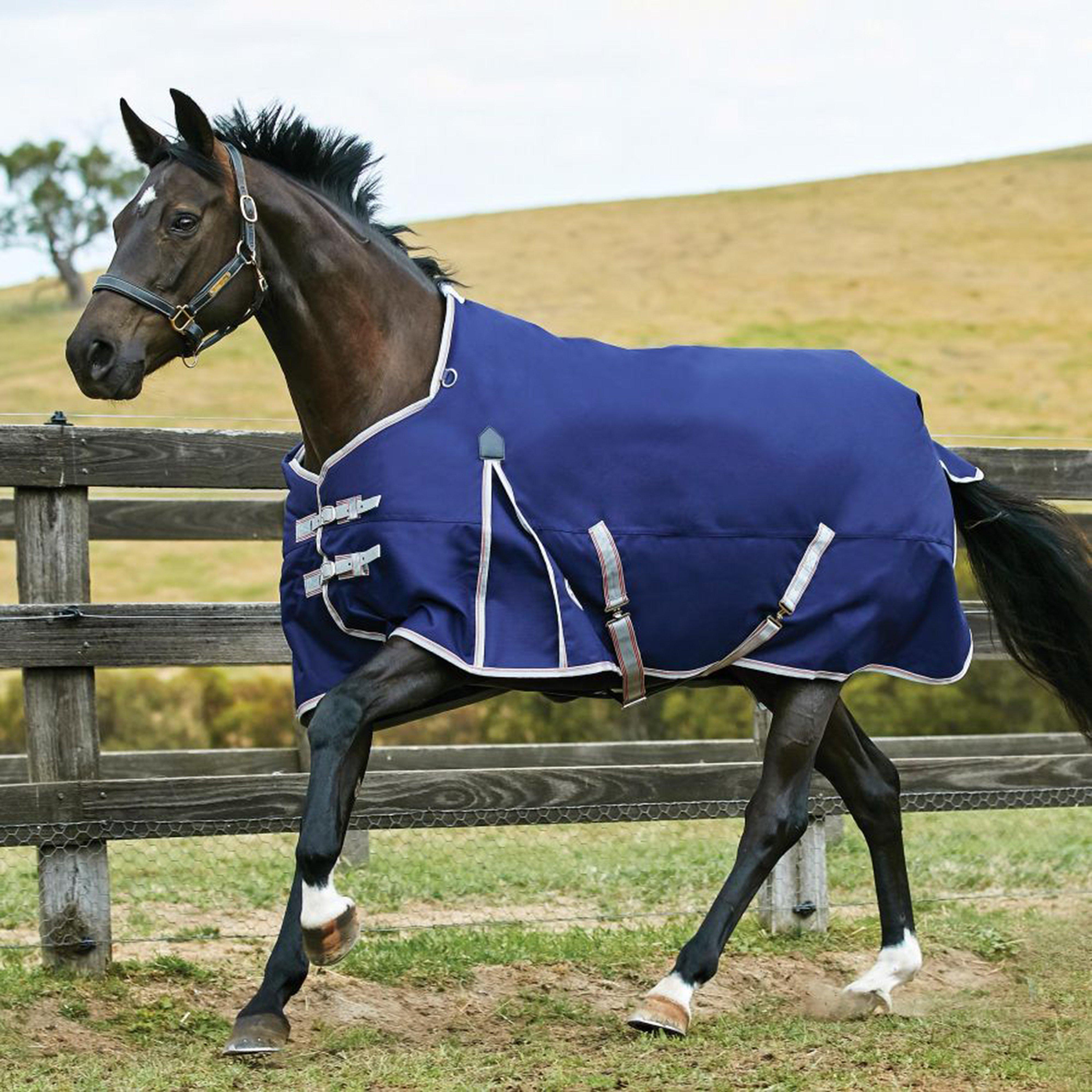 WeatherBeeta ComFiTec Essential 220g Medium Weight Standard Neck Turnout Rug, Navy