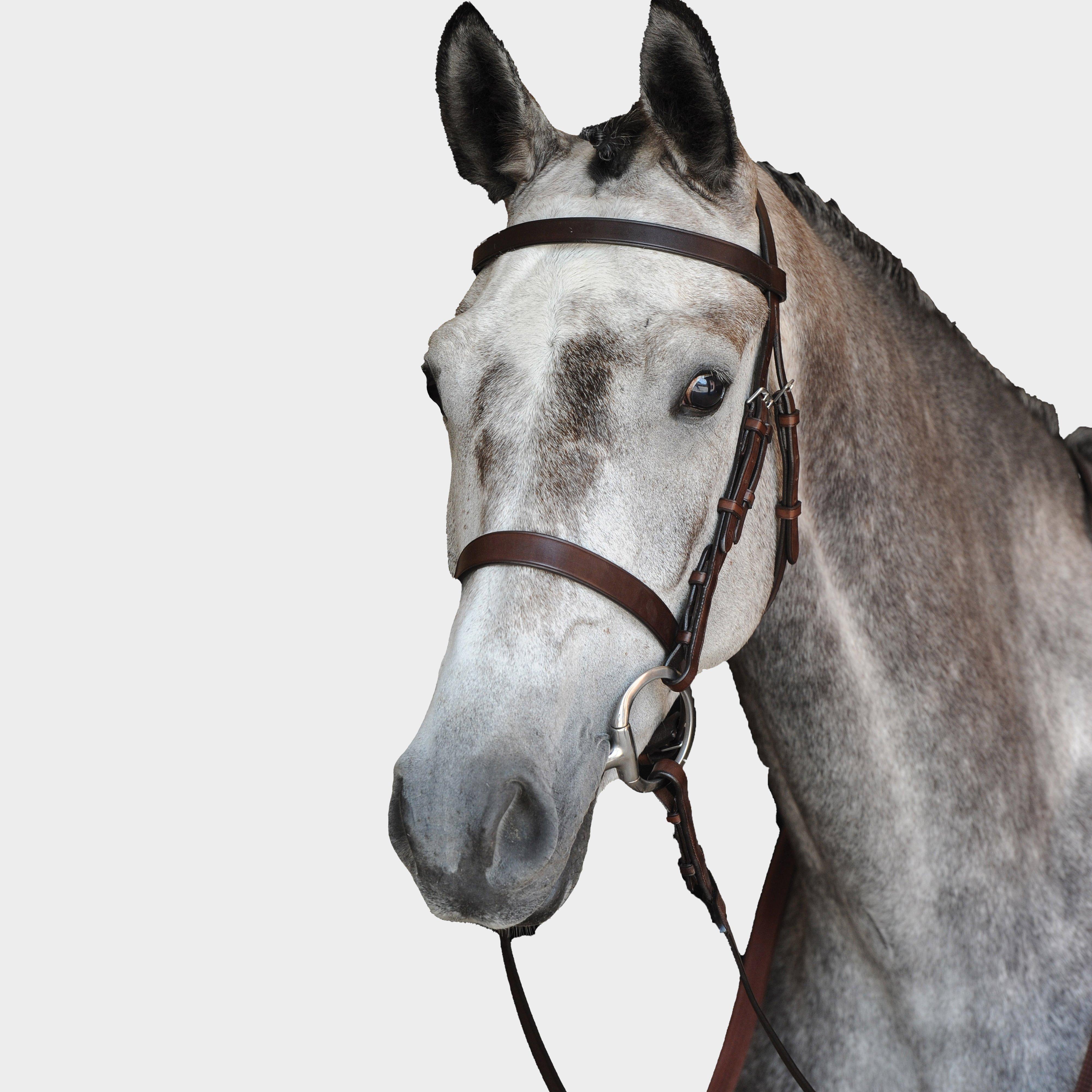Collegiate Hunt Cavesson Bridle IV Brown, Brown
