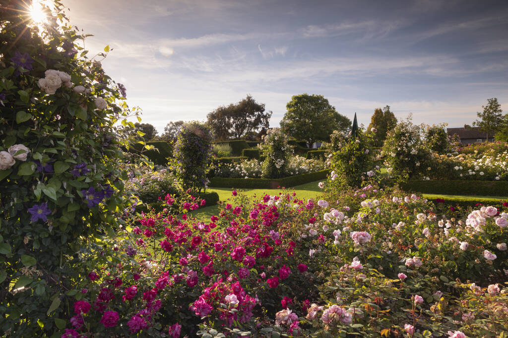 R.H.S Garden Hyde Hall Entrance For Two